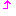 上