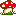 きのこ