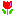 はな