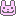 うさぎ★
