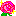 ばら