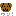 わん