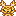 クリームブリンドル　チワワ