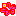 ハイビスカス