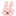 うさぎ