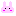 ぅさぎちゃん☆