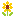 ひまわり