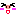 ブタ