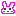 ウサギ