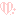 ﾋﾟﾝｸｽﾄﾗｲﾌﾟ*