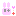rabbit #