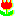 ちゅうりっぷ