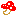 キノコ
