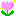 ちゅーりっぷ