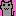 ねこ