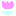 ｈ