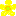 ゴーヤの花