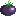 ブラックトマト