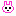 うさぴょん