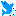 いるか