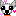 ちわわ