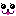 犬