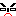ギラギラ