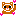 フェレット