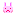 うさぎさん