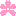 さくら