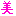美
