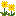 たんぽぽ