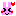 うさぎうれしい