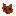 犬