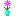 一輪の花
