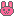 兔