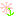 コスモス