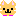 チワワ