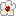 梅の花