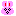 ビックリうさぎ