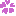 さくら