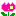 チューリップ