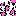 ヒョウ