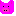 ブタ