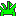 P・クリソゲヌム