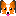 パピヨン　犬 イヌ　いぬ