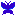 蝶