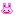 うさぎ