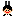 バニーボーイ