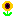 ひまわり